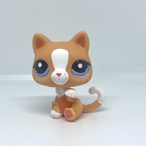 Littlest Pet Shop - LPS - #2095 - Cat - Special edition pet