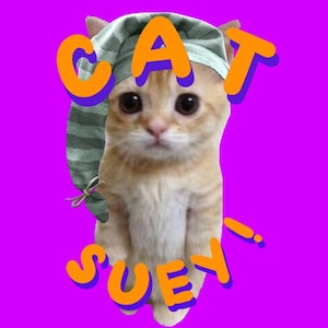 Cat Suey! Stream Alert