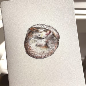 Lot de 4 cartes d'art pour bébés animaux endormis, vierges à l'intérieur pour toute occasion, 5,5 x 4,25 pouces avec enveloppes en papier kraft.