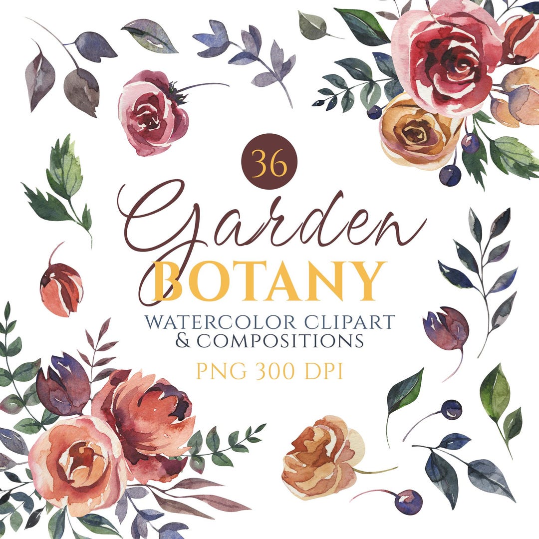 Garden Botany Clipart, Watercolor Ranunculus and Rose Flowers, Wedding ...