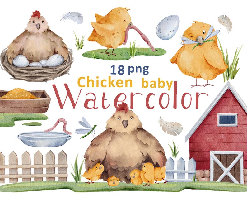 Watercolor Chicken Clipart: Farm Animals, Chicks & Eggs (18 PNG) - Etsy