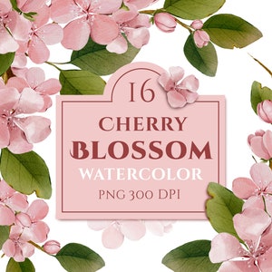 Aquarela cereja florescendo flor rosa clipart. Flores fofas primavera Apple sakura. Elementos png para download instantâneo Design floral de casamento