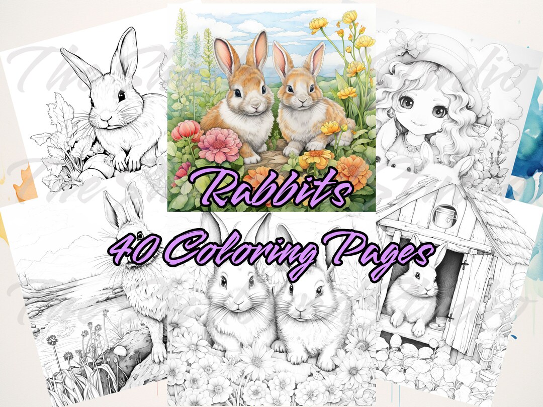 Colouring Pages Rabbit House Rabbits, 40 Coloring Pages, Cute, Relaxing, Fun, Greyscale Images ...