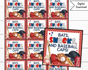 Baseball Snack Tags, Softball Treat Day, Coach, Game Day Snacks, End of Season Gifts Digital Download, T-Ball, Snack Tag, Encouragement