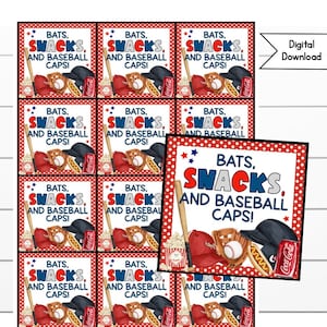 Baseball Snack Tags, Softball Treat Day, Coach, Game Day Snacks, End of Season Gifts Digital Download, T-Ball, Snack Tag, Encouragement