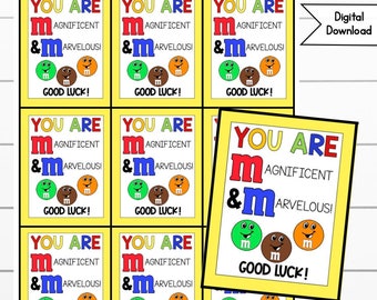 Testing Day M&M Printable Tags, Digital Downloads, Testing Tags, Printable Snack Tag, PTA, PTO, Snack Tags, Marvelous and Magnificent tags