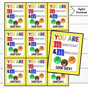 Testing Day M & M druckbare Tags, digitale Downloads, Testing-Tags, druckbarer Snack-Tag, PTA, Zapfwelle, Snack-Tags, Marvellous and Magnificent Tags