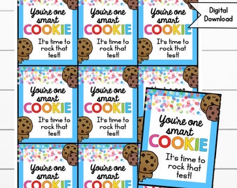 Testing Day You're One Smart Cookie Printable Tags, Digital Downloads, Testing Tags, Printable Snack Tag, PTA, PTO, Snack Tags, Cookie Tag