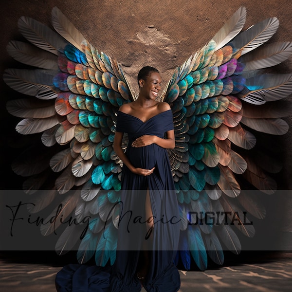 3 Pack Fine Art Digital Backdrop, Studio Colorful Wings, great for portraits, Maternity, kids photography composites