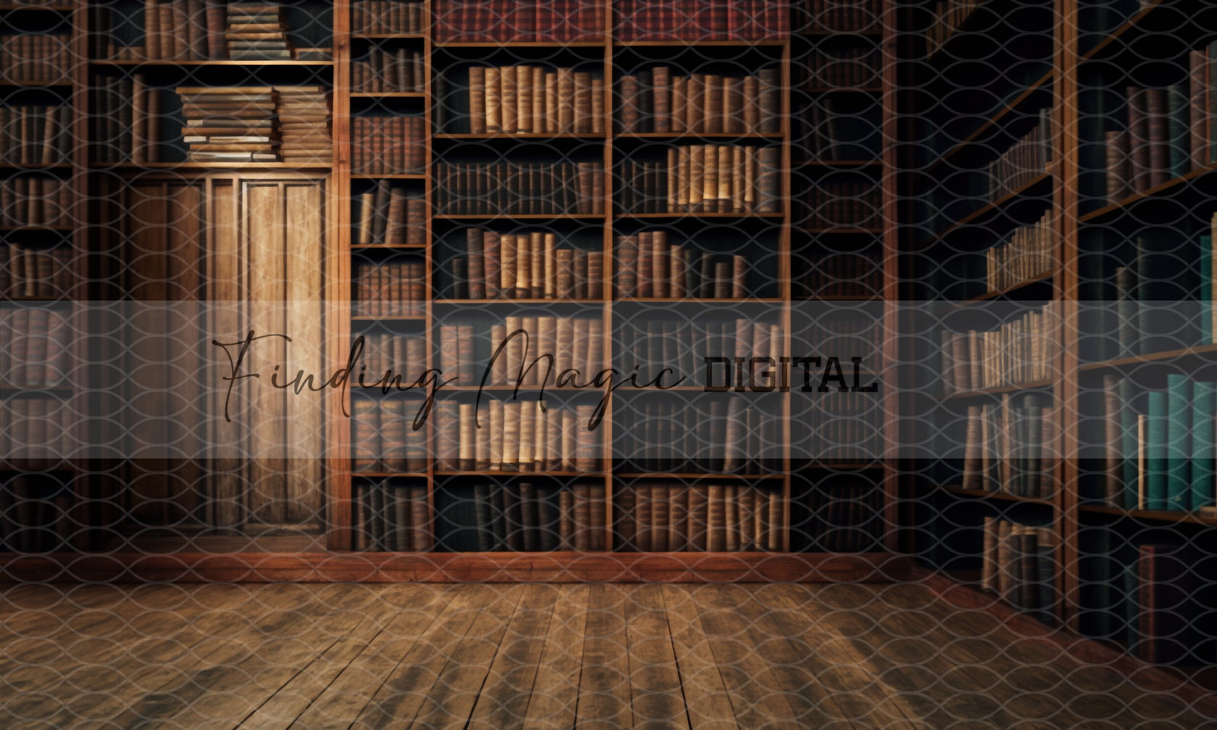 5 Pack Fine Art Digital Backdrop, Beautiful Library, Great for ...