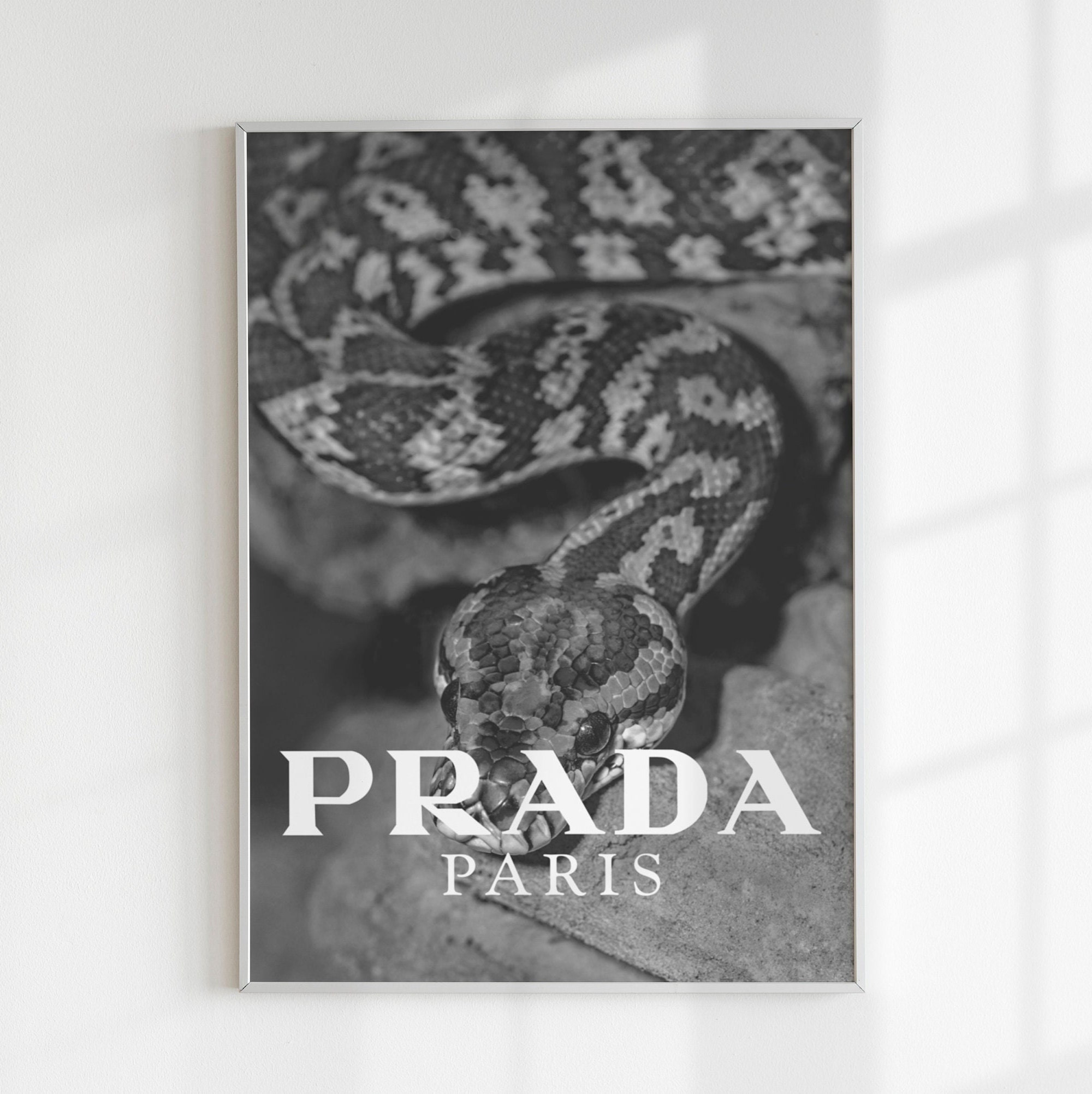 Luxury Fashion Snake Poster Printable Fashion Wall Art Aesthetic Luxury Fashion Snake Poster Printable Fashion Wall Art Aesthetic