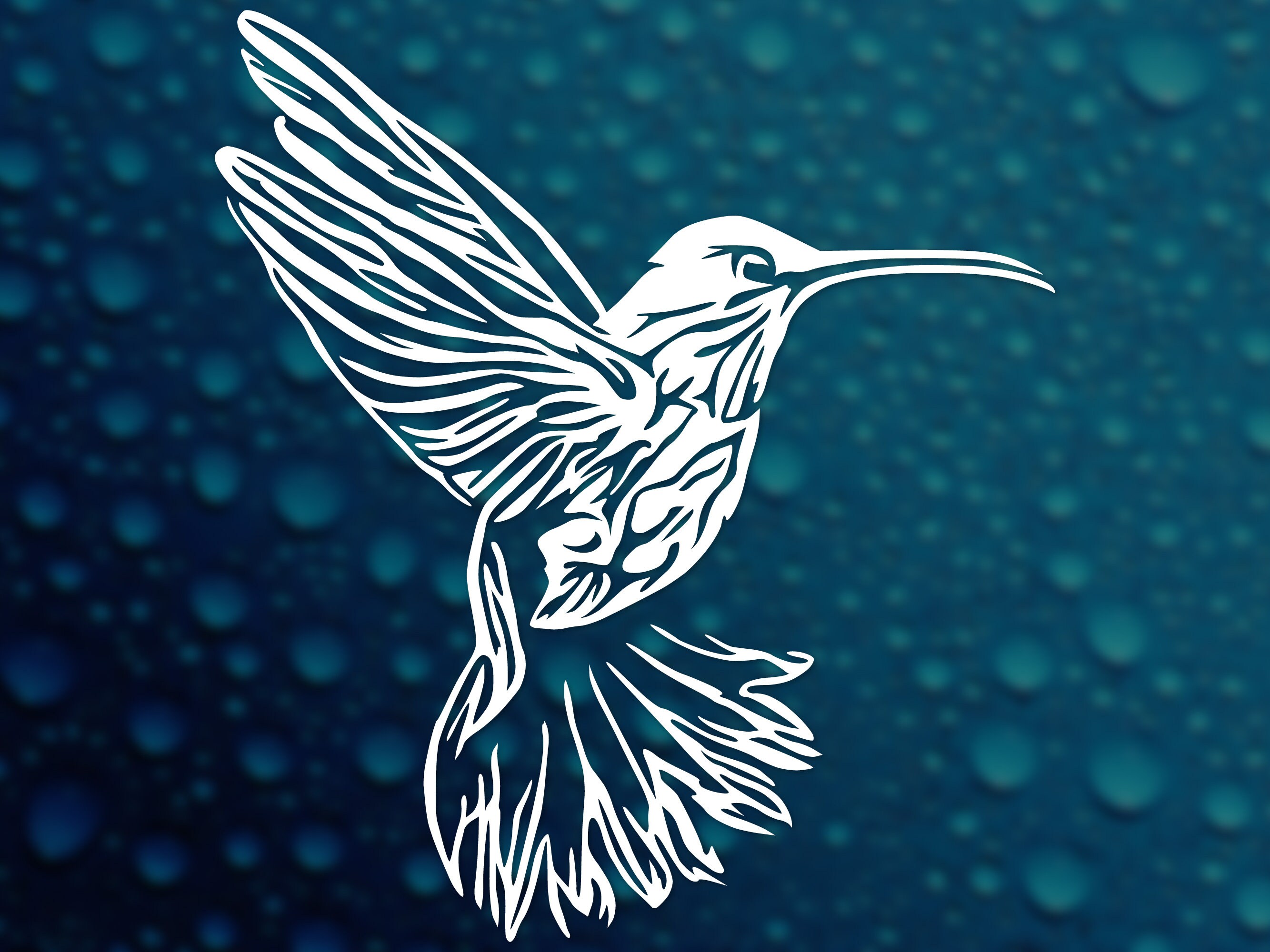 Hummingbird Decal · Whimsical Bird Vinyl Art for Car Window, Laptop ...