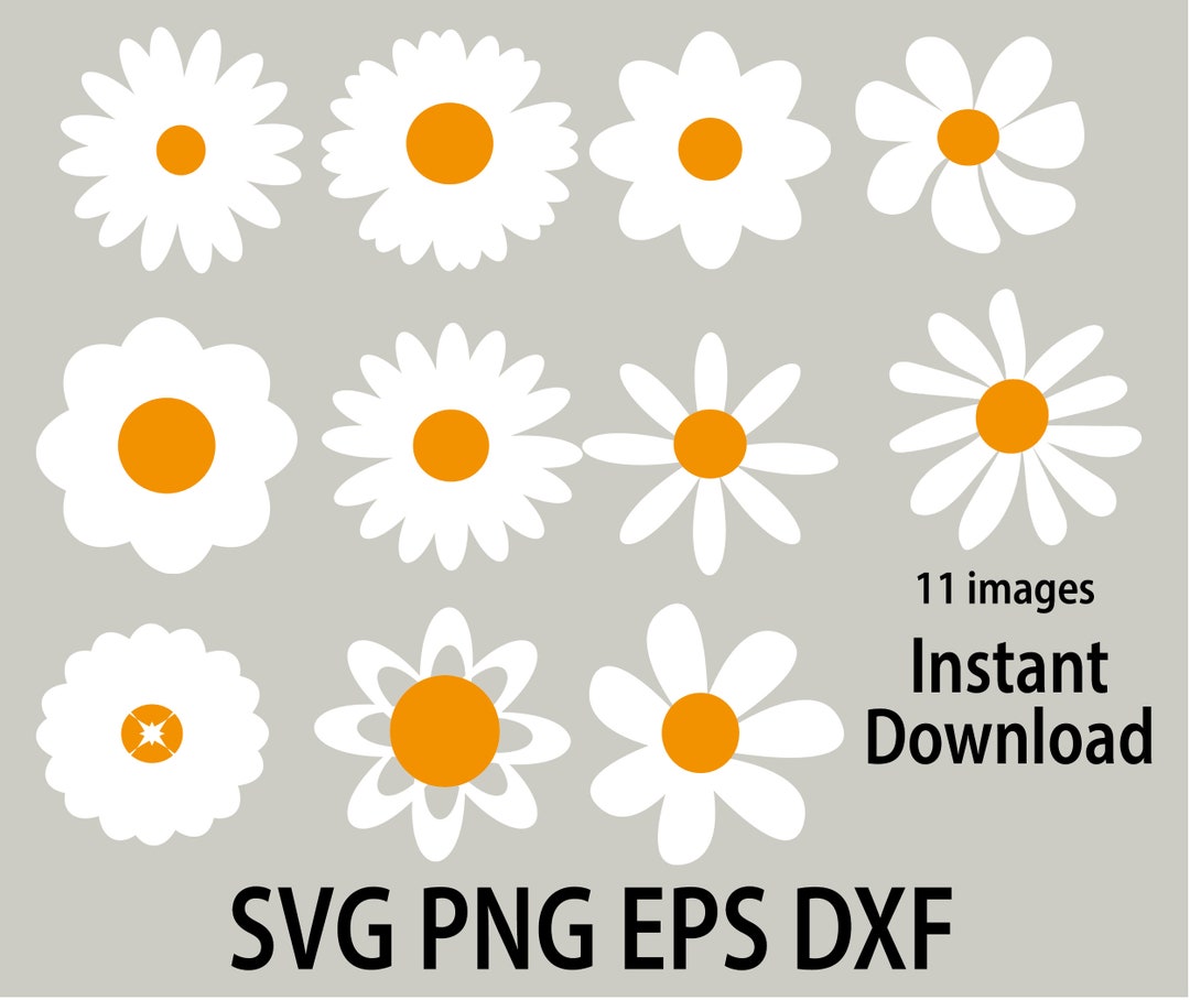Daisy Svg Bundle, Flower Svg Files for Cricut, Daisy Bundle Svg Flower ...