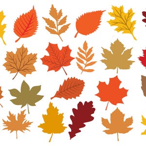 Hojas de otoño Svg, otoño svg, hoja de otoño svg Otoño svg, Otoño png,dxf, clipart, Archivos de corte para Cricut, Archivos Glowforge, Silueta, Halloween svg