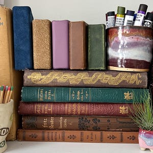 May include: A shelf displays a collection of vintage books with various colors and textures. A ceramic cup holds paint tubes, and a small, decorative pot with a plant sits nearby. A whimsical ceramic match holder with an eye design is also present.
