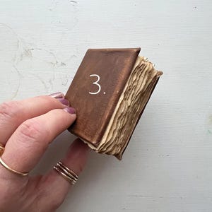 May include: A small, antique-style book with a brown leather cover. The book's pages are aged and textured, with the number "3." written on the cover. The book is held by a hand with gold rings.