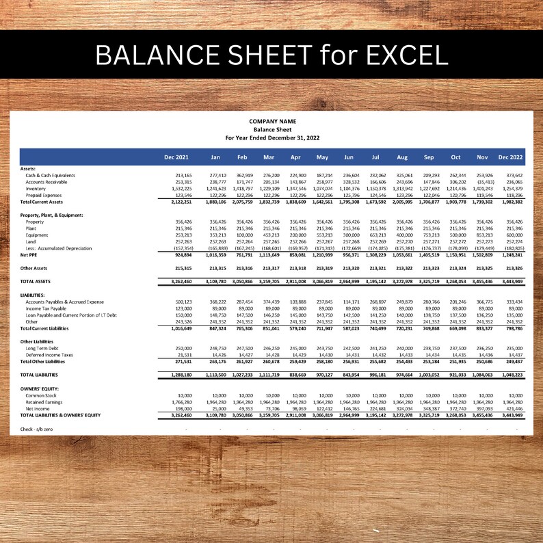 Monthly Balance Sheet Balance Sheet Template Balance Sheet in Excel Small Business Balance Sheet Statement of Financial Position image 2