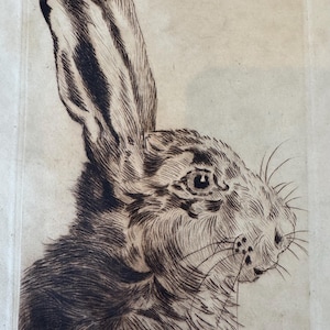 Vintage Renz Waller Hare Etching, Pencil-Signed