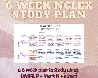 6 Week NCLEX Study Plan - Detailed & Handwritten