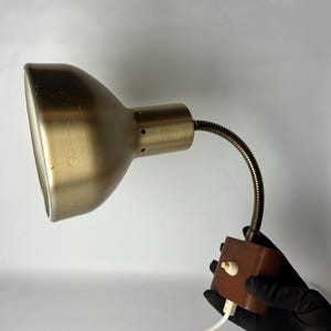Vintage Scandinavian Gooseneck Wall Sconce: Adjustable Reading Lamp, 1960s MCM