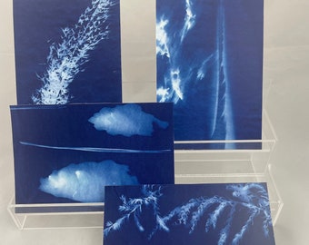 Southwestern Flora Cyanotype Postcards, Set of Four