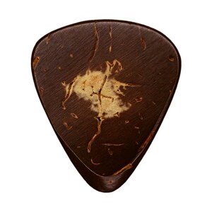 May include: A dark brown guitar pick with a unique, textured surface. The pick features a lighter, beige-colored area in the center, with intricate patterns and lines. The edges are rounded and smooth, creating a comfortable grip.