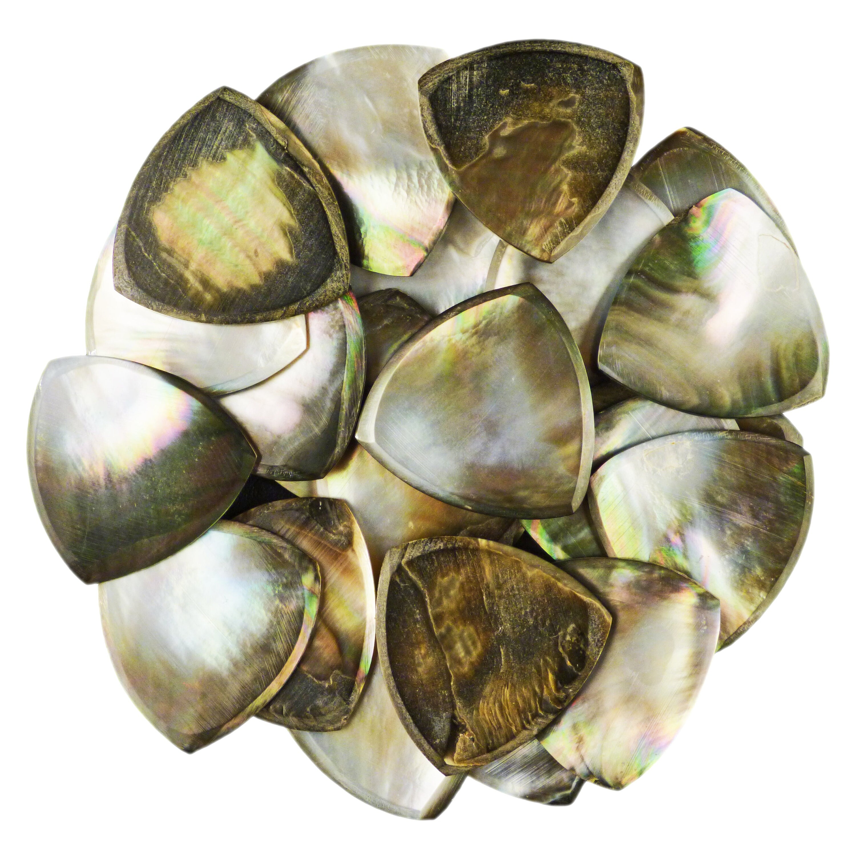 Shell Plectuim Black Abalone Shell Guitar or Bass Pick - 2.0 Mm - 346 Wedge Triangle ...