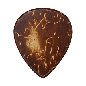 May include: A teardrop-shaped guitar pick made from dark brown coconut shell. The pick has a natural wood grain pattern with lighter brown and tan accents. A small hole is drilled at the top.
