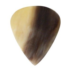 May include: A brown and cream colored guitar pick made from horn.