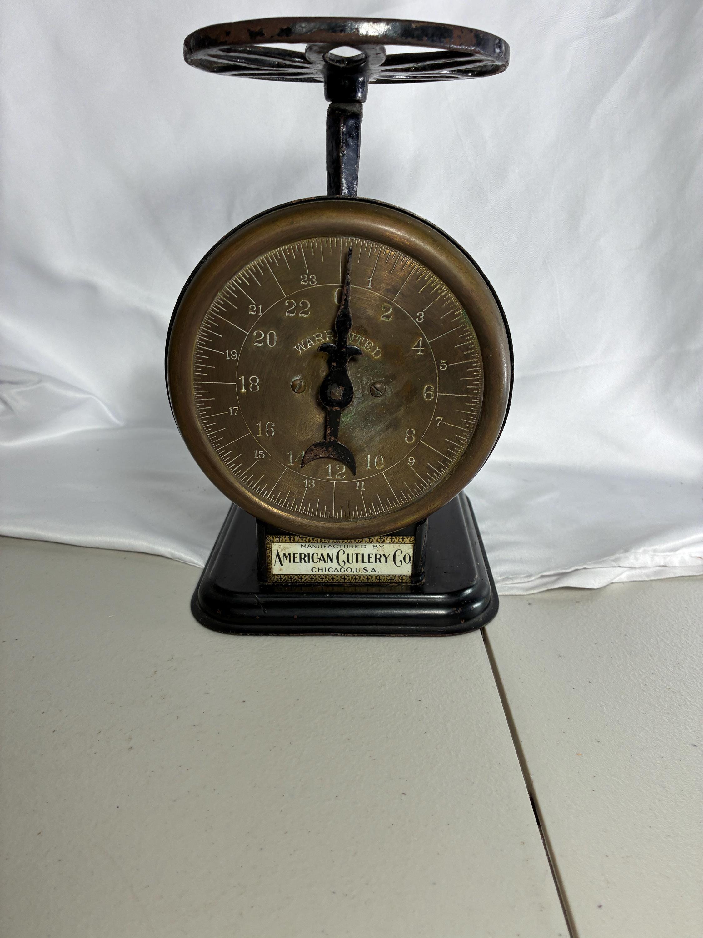 America Family Scale - Etsy