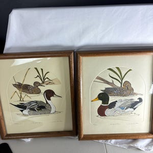 May include: Two framed art prints featuring detailed illustrations of ducks in natural settings. The left print shows a pintail duck, and the right print depicts a mallard duck. Both prints are housed in matching wooden frames with cream matting.