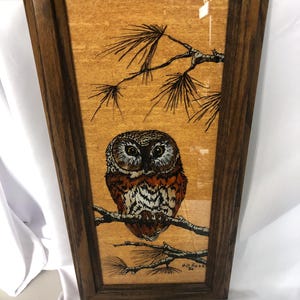 May include: A framed artwork featuring a detailed painting of an owl perched on a branch. The owl has brown and white feathers, with large, expressive eyes. The background is a light brown color, and the frame is made of dark wood. The artwork is signed "Pat Rose 80".