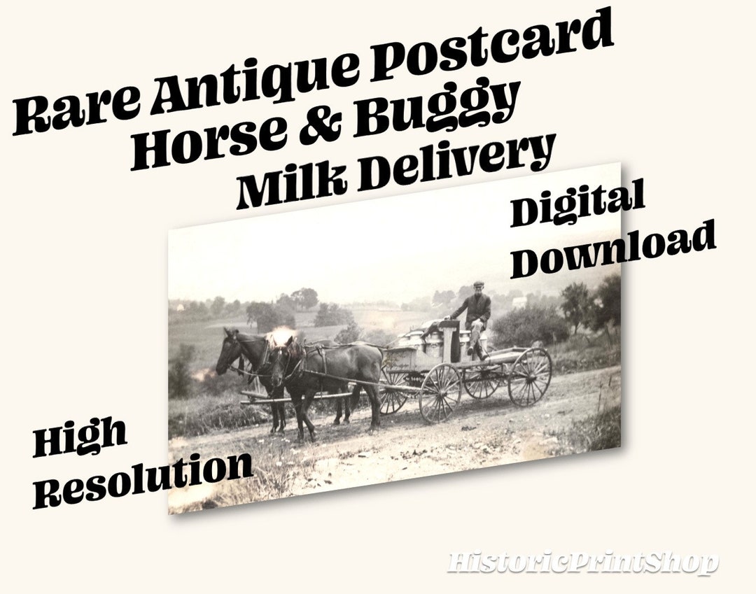 The Milkman on the Horsedrawn Cart Digital Download JPG High Res