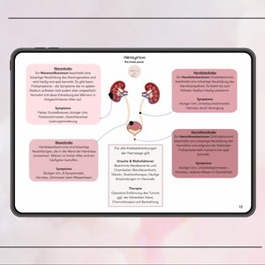 May include: Diagram of the urinary system with illustrations of the kidneys, bladder, and ureters. The diagram includes information about kidney cancer, bladder cancer, and ureter cancer, including symptoms and treatment options.
