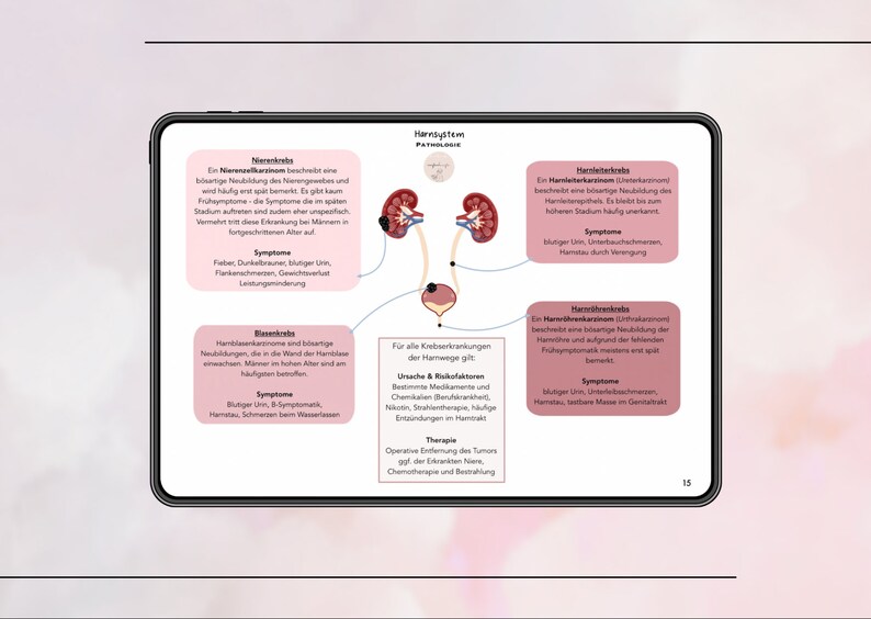 May include: Diagram of the urinary system with illustrations of the kidneys, bladder, and ureters. The diagram includes information about kidney cancer, bladder cancer, and ureter cancer, including symptoms and treatment options.