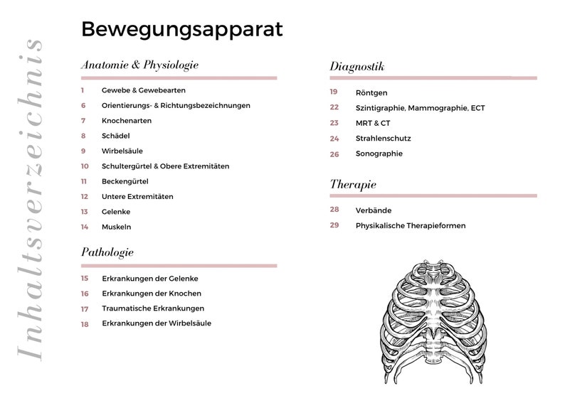 Appareil locomoteur fiche d'apprentissage radiographie & échographie pdf 29 pages DIN-A4 image 2