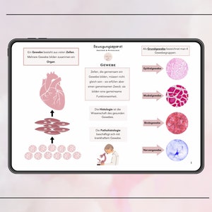 Puede incluir: Un diagrama que ilustra el concepto de tejidos en biolog&iacute;a. El diagrama muestra un coraz&oacute;n, tejido muscular y c&eacute;lulas. El texto explica que los tejidos est&aacute;n formados por c&eacute;lulas que trabajan juntas para realizar una funci&oacute;n espec&iacute;fica. El diagrama tambi&eacute;n muestra diferentes tipos de tejidos, incluyendo tejido epitelial, tejido muscular, tejido conectivo y tejido nervioso.