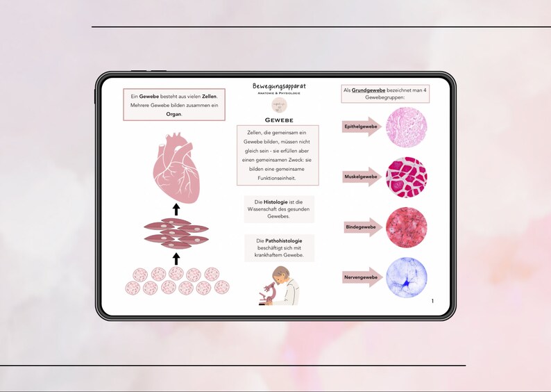 Puede incluir: Un diagrama que ilustra el concepto de tejidos en biolog&iacute;a. El diagrama muestra un coraz&oacute;n, tejido muscular y c&eacute;lulas. El texto explica que los tejidos est&aacute;n formados por c&eacute;lulas que trabajan juntas para realizar una funci&oacute;n espec&iacute;fica. El diagrama tambi&eacute;n muestra diferentes tipos de tejidos, incluyendo tejido epitelial, tejido muscular, tejido conectivo y tejido nervioso.