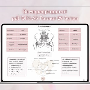 Puede incluir: Un diagrama de la pelvis humana, etiquetado en alem&aacute;n. El diagrama muestra los huesos de la pelvis, incluyendo el sacro, el ilion, el isquion y el pubis. El diagrama tambi&eacute;n muestra los ligamentos y m&uacute;sculos que conectan los huesos de la pelvis.