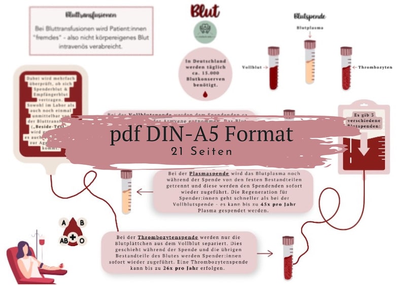 Blut Lernzettel Pdf A5 21 Seiten - Etsy