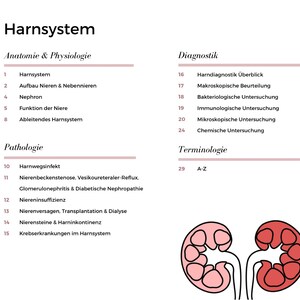 May include: Diagram of the human urinary system with a table of contents listing topics related to anatomy, physiology, pathology, diagnosis, and terminology. The diagram shows two kidneys in pink and red.
