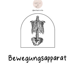 Bewegungsapparat + Röntgen & Ultraschall Lernzettel pdf 29 Seiten DIN-A4