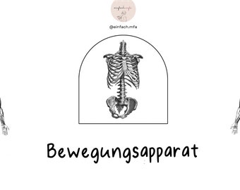 Bewegungsapparat + Röntgen & Ultraschall Lernzettel pdf 29 Seiten DIN-A4