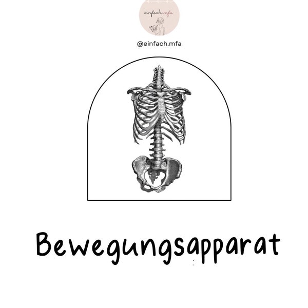 Musculoskeletal system + X-ray & ultrasound learning sheet pdf 29 pages DIN-A4