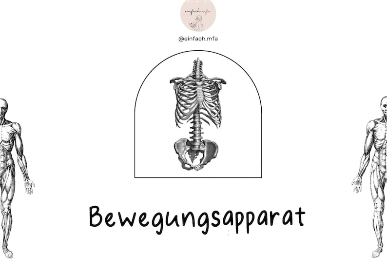 Puede incluir: Una ilustraci&oacute;n en blanco y negro del sistema esquel&eacute;tico humano, que muestra los huesos del torso, incluyendo la caja tor&aacute;cica, la columna vertebral y la pelvis. El texto "Bewegungsapparat" est&aacute; escrito debajo de la ilustraci&oacute;n.