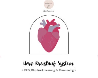 Herz-Kreislauf + EKG + Blutdruck + Terminologie Lernzettel pdf A4 18 Seiten