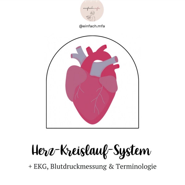 Herz-Kreislauf + EKG + Blutdruck + Terminologie Lernzettel pdf A4 18 Seiten