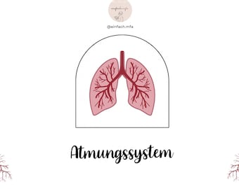 Ficha aprendizaje sistema respiratorio pdf A4 17 páginas