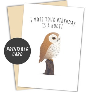 Carte d'anniversaire imprimable de hibou, téléchargement immédiat, carte drôle, conception minimaliste, fond blanc, j'espère que votre anniversaire est une huée