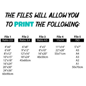 Set of 3 Printable Posters, Boho Flower Art, Minimalist Floral Prints ...